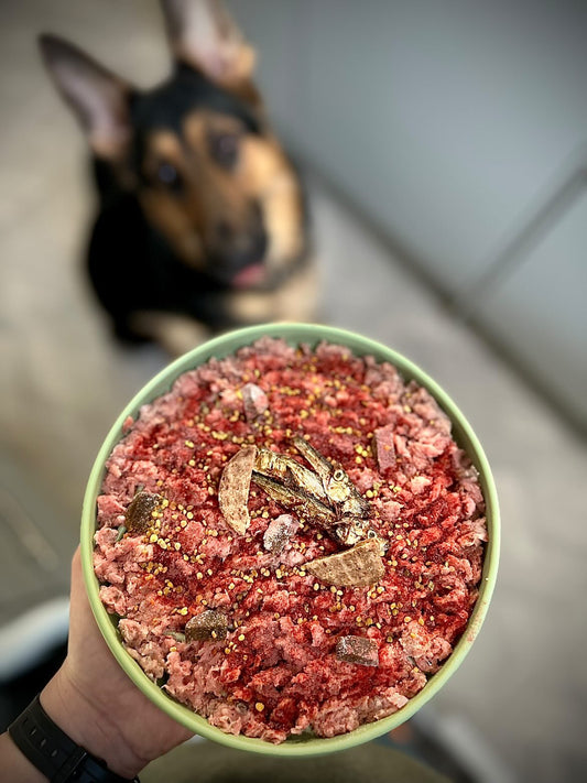 Boston Barks Guide to Raw Feeding