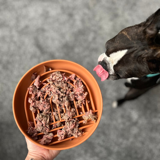 Raw Is The Way Forward In Dog Nutrition