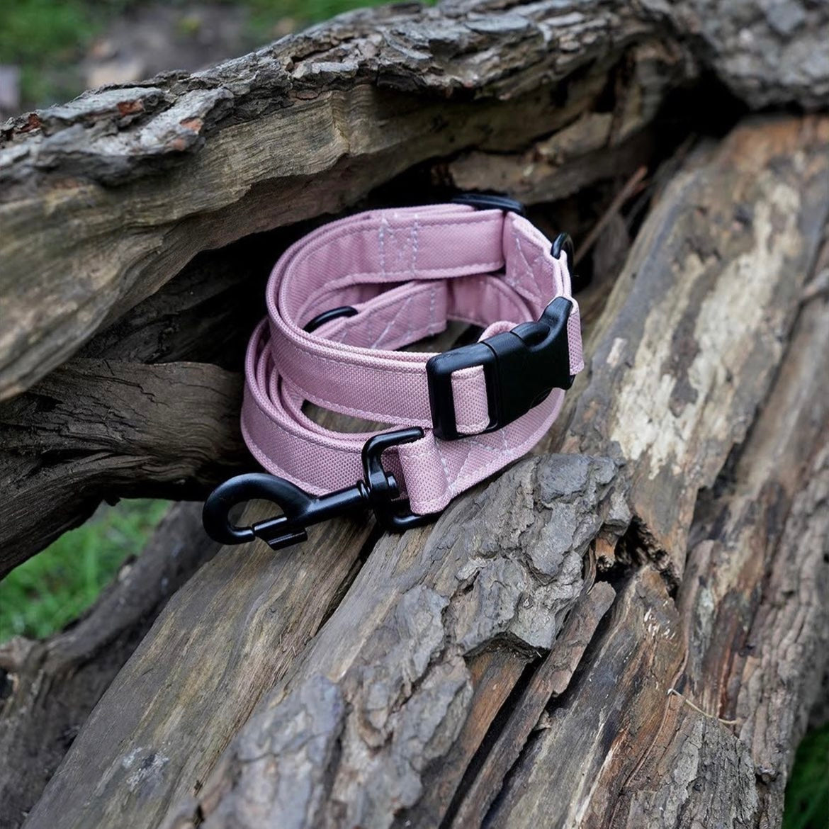 Wildbarc Canvas Collar Blush