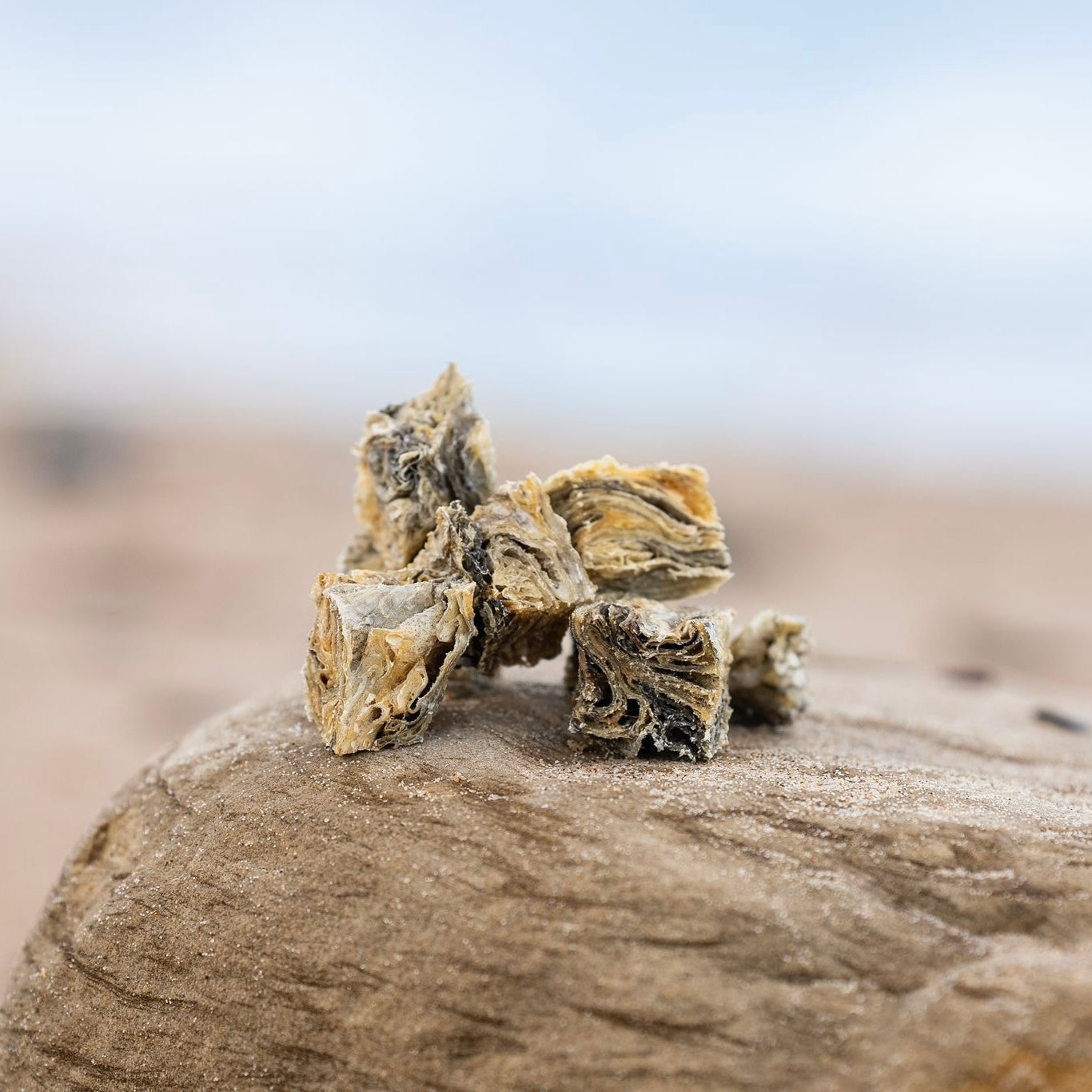 fish cube dog treat