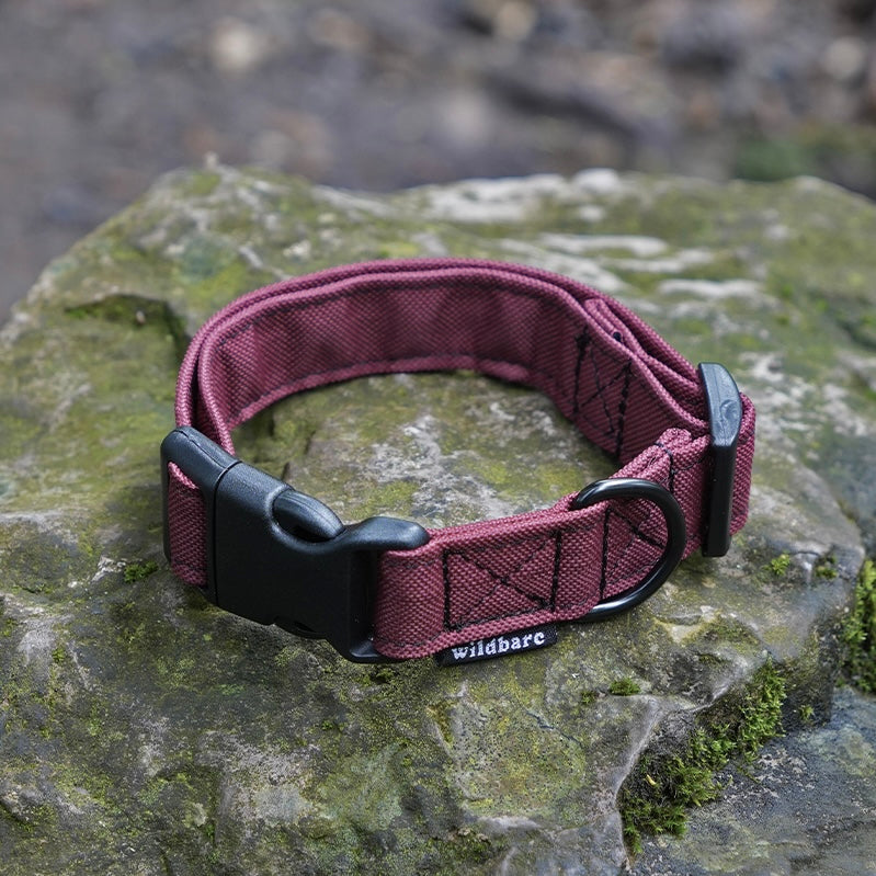 Wildbarc Canvas Collar Burgundy