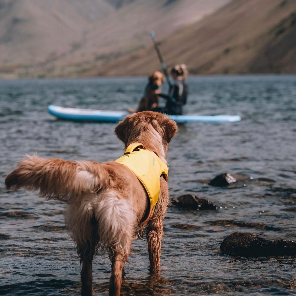 Ruffwear Life Jacket