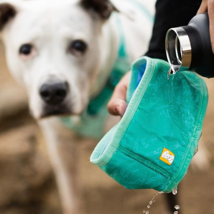 Ruffwear Cooling Gaiter Teal