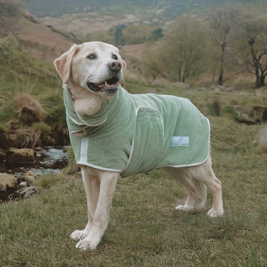 pastel pooch drying robe sage