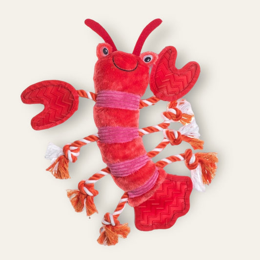 House of Paws Lobster