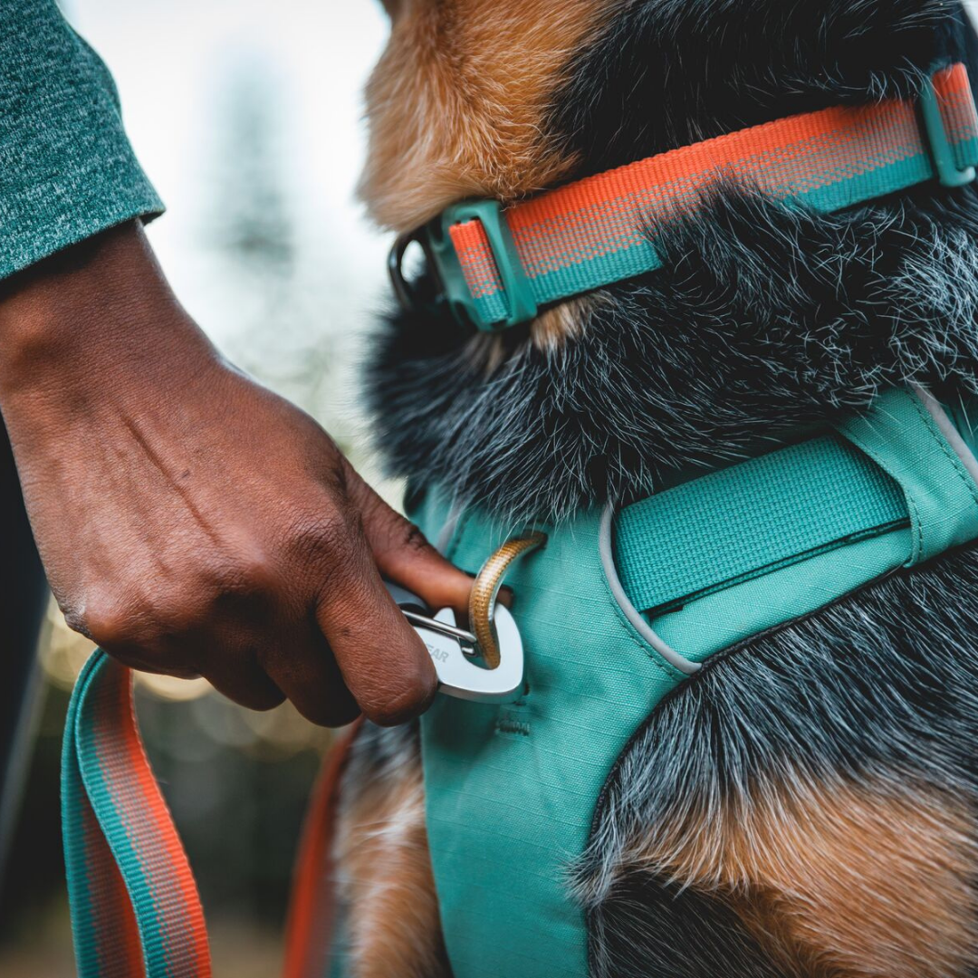 Ruffwear Front Range Lead Spring Fade