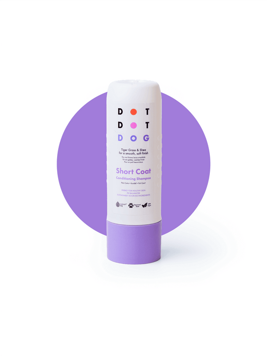 dot dot dog short coat shampoo